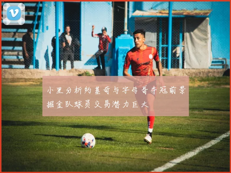 小里分析约基奇与字母哥夺冠前景掘金队球员交易潜力巨大